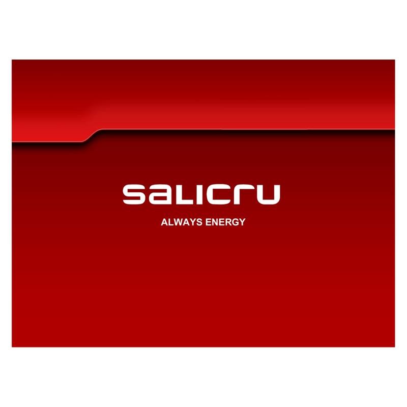 BATERIA UPS SALICRU 7AH/12V - Imagen 2