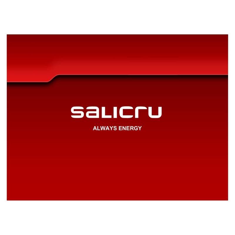 BATERIA UPS SALICRU 7AH/12V - Imagen 2