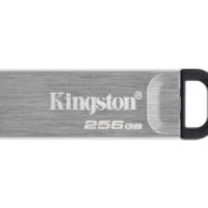 Pendrive Kingston 256Gb USB-A 3.0 Plata (DTKN/256GB)