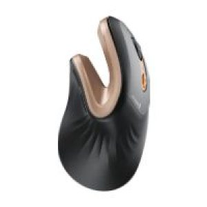 Ratón Vertical ProtoArc EM11 NL Negro/Dorado (CP016806)