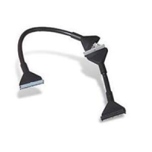 Cable Belkin Ultra ATA 133 Redondo Negro (CC2003KAME02)