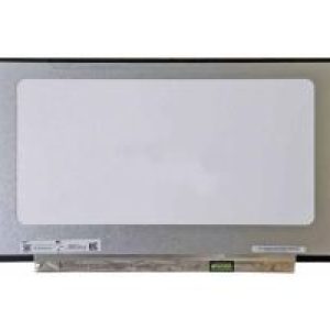 Pantalla LCD AUO 17.3″ LED FullHD (B173HAN04.2)