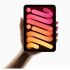 App Store Connect, AppleCare y más están actualmente inactivos para muchos usuarios.