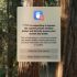 Los ataques de Google a Apple durante el evento Pixel incluyeron un reclamo ridículo